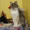 Отзыв от Анастасия Денисова